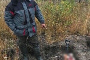 На Рівненщині браконьєр вбив червонокнижного лося