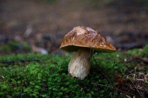 Якою буде погода на Волині