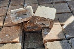 На Волині розкинуть приманки з вакциною для диких тварин проти сказу