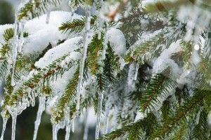 Якою буде погода на Волині