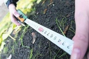 На Ковельщині фермерське господарство звільнило самовільно зайняту землю
