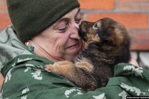 5 історій медиків, які врятували інших, але не захистили себе 