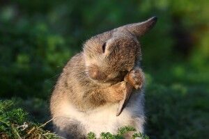 На вихідні в Україні прогнозують +28: якою буде погода у Луцьку