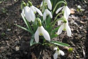 Якою буде погода до кінця тижня на Волині