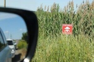 Сумні «досягнення» нашої держави