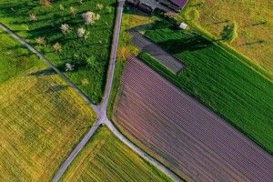 Ковельські села побільшали на 620 гектарів