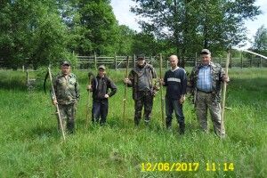 У Цуманській пущі косарі заготовляли траву – а кабани, козулі та олені дивилися (фото)