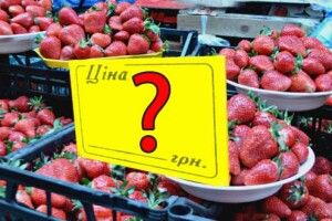 На полуницю за 60 гривень можна хіба що дивитися