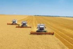 ЛЮДЯМ ЗЕМЛІ — ЄВРОПЕЙСЬКИЙ РІВЕНЬ ЖИТТЯ*