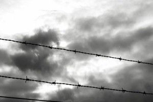 З бердичівської в’язниці втекло двоє небезпечних злочинців. ФОТО