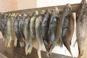 Таранька для «западної»