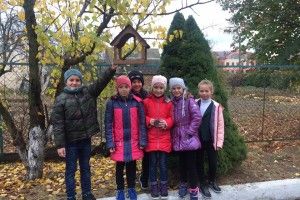 Волинські школярі допомагають птахам перезимувати