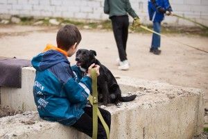 Хвостата лучанка Берта шукає господарів, яких не лякатиме її доброта (фото)