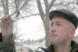 ЛІС ПОЧИНАЄТЬСЯ З НАСІНИНИ