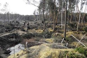 Боятися варто не російських ДРГ, а «непідконтрольного» Полісся