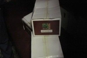 З Росії в Україну намагалися провезти горіхи та взуття (Фото)