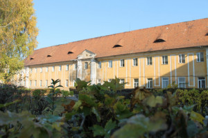 Куди перенесуть лікарню з Олицького замку?