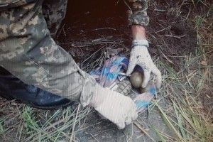 Диверсанту «ДНР» не вдалося підірвати потяг на Харківщині