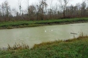 Вандали викинули у річку смітники й плафони з Центрального парку Луцька