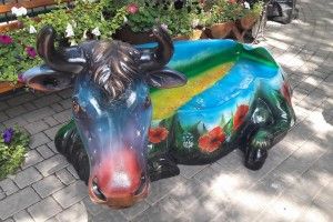 У Луцькому зоопарку з’явилася дивовижна корова (фото)