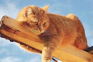 НЕ ТАКА…
