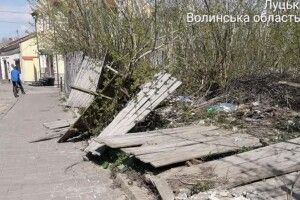 Луцькі муніципали помітили «джунглі» на Старому місті
