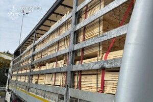 На Волині судитимуть підприємця за контрабанду лісу