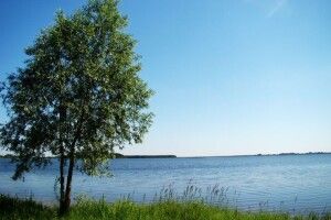 З понеділка на Волині – табу на риболовлю