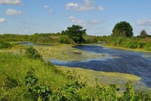 Волинські екологи вивчали досвід закордонних колег