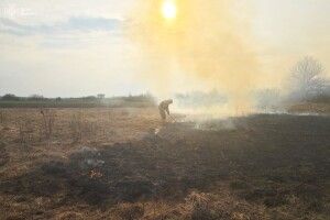 Торф, чагарники та суха трава: на Волині за добу ліквідували 10 пожеж 