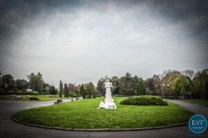 У Володимирі-Волинському порахували всі дерева, колючі та неколючі кущі