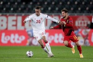 Волинський кролик-прогнозист без вагань визначив переможця у матчі Данія - Бельгія (Відео, анонс)