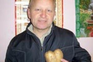 ДИВА ПРИРОДИ: не просто картопля, а «серце» вродило
