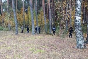 На Волині тривають пошуки зниклої у лісі пенсіонерки