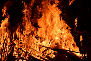 На Волині горіло три гектари трави