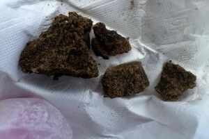 На Волині патрульні затримали осіб із наркотиками