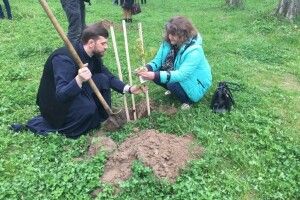 Волинський протоієрей садив дерева в пам'ять Героїв Небесного Легіону (фото)