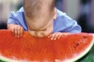 ОСІННІ ЩЕДРОТИ: ура — кавун! обережно — кавун...