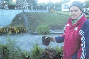 Японську сакуру вирощують у волинських Дрозднях