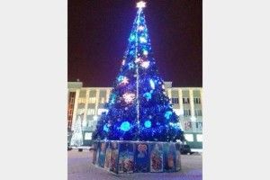 В якому місті стоїть найдорожча українська ялинка