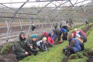 Тут народжуються майбутні ліси