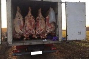 Хто Батьківщину захищає, а хто – м’ясце окупантові постачає