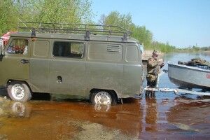 На Волині у розпалі нерест ляща (фото)