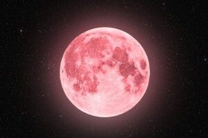 На Волині з'явився «полуничний місяць» (Фото)