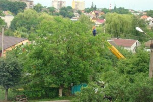 «Волиньобленерго» нарешті відновило електромережу, яка феєрично горіла під час стихії у четвер
