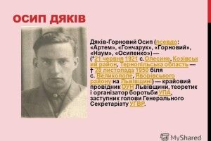 Газети, листівки й інструкції пролежали в землі майже 70 років
