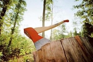 На Волині оштрафували двох працівників лісового господарства