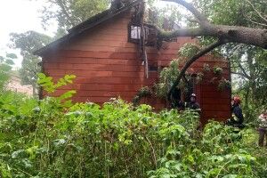 Дерево впало на хату: на Рівненщині негода наробила лиха (Фото, відео)