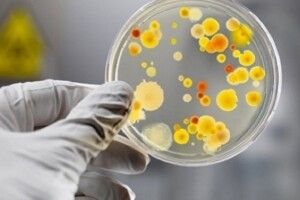 Вірус Коксакі після курортів Туреччини може поширитися в Україні 