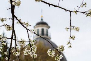 Зупинись, задумайся, чому сьогодні хочеться молитися, радіти і плакати водночас?..